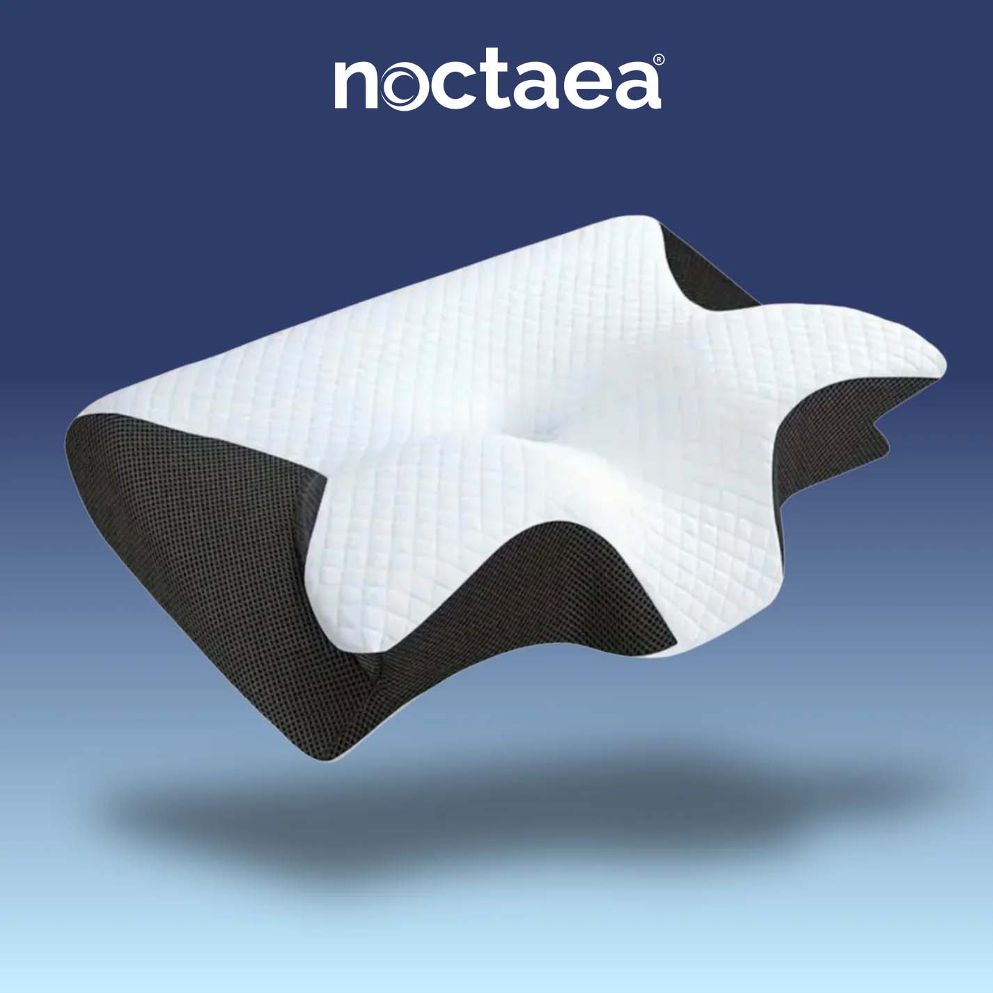 Noctaea – ErgoDream