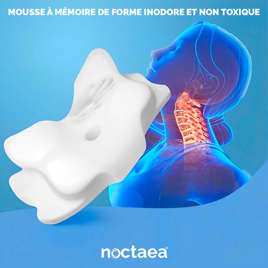 Noctaea – ErgoDream