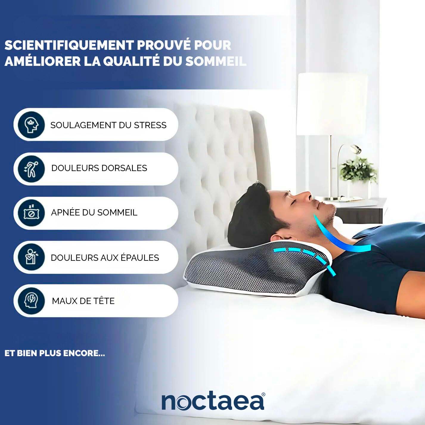 Noctaea – ErgoDream