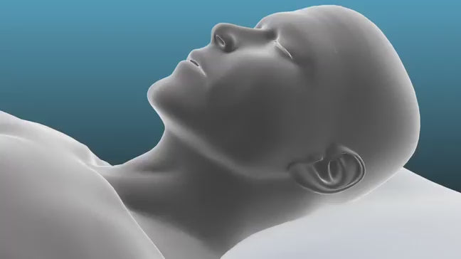 Charger la vidéo : 